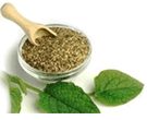 Natural Herbs and Herbal Supplements for Health