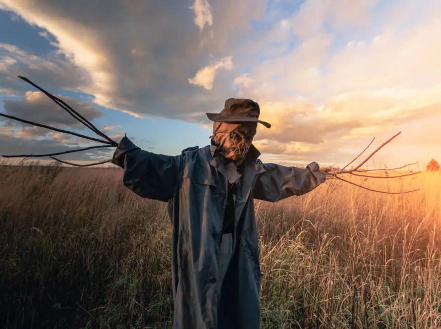 Scary scarecrow